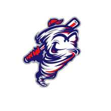 Load image into Gallery viewer, American Apparel boxy crop tee- Cyclones-heather gray