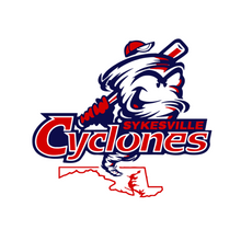 Load image into Gallery viewer, American Apparel boxy crop tee- Cyclones-heather gray