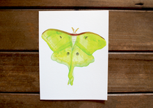 Load image into Gallery viewer, Lovely Luna Moth -- Handmade Watercolor Insect Card