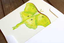 Load image into Gallery viewer, Lovely Luna Moth -- Handmade Watercolor Insect Card