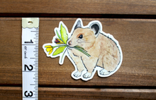 Load image into Gallery viewer, Pika Boquete Sticker