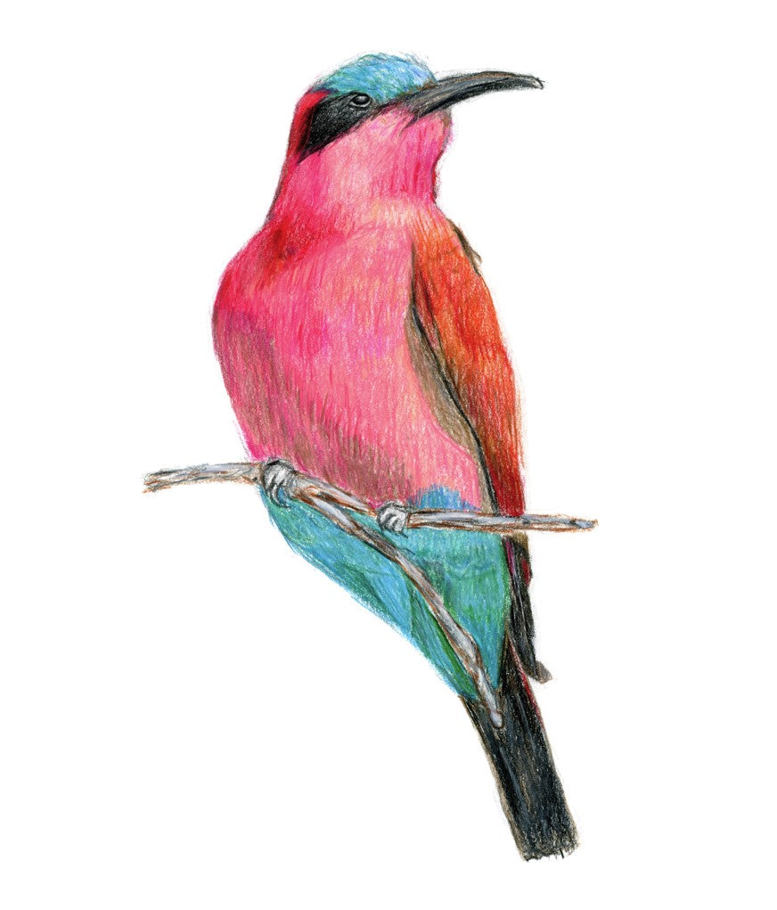 Bird looking right watercolor 5x7
