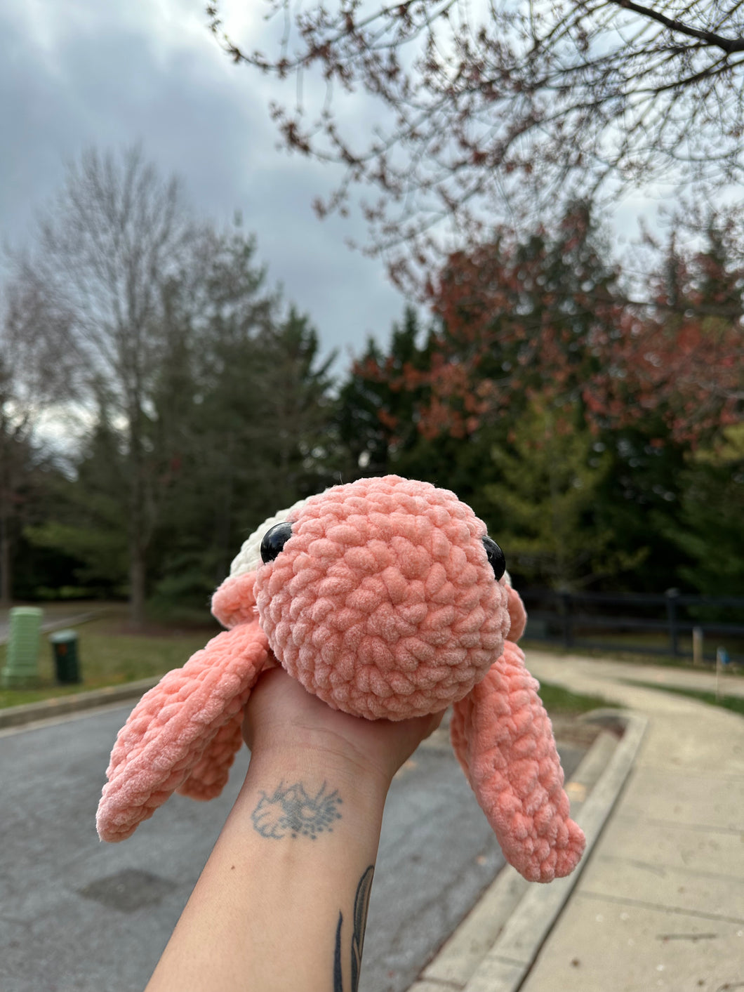Peach Turtle Crochet
