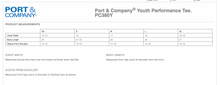 Load image into Gallery viewer, Port &amp; Co short sleeve performance tee YOUTH CC Phoenix
