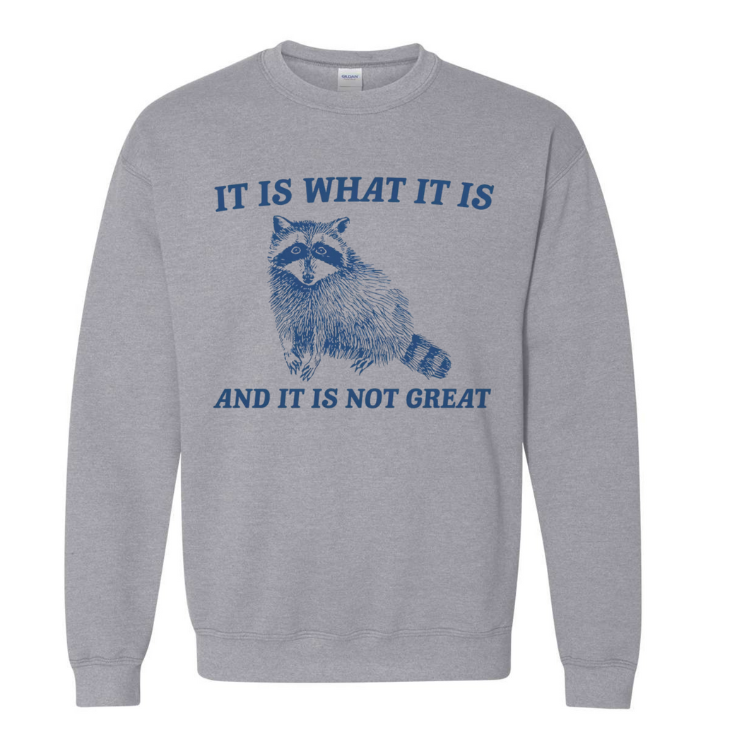 It is what it is sweatshirt- raccoon
