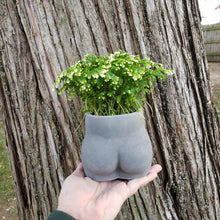 Load image into Gallery viewer, Concrete booty planter
