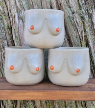 Load image into Gallery viewer, Concrete boobie planter
