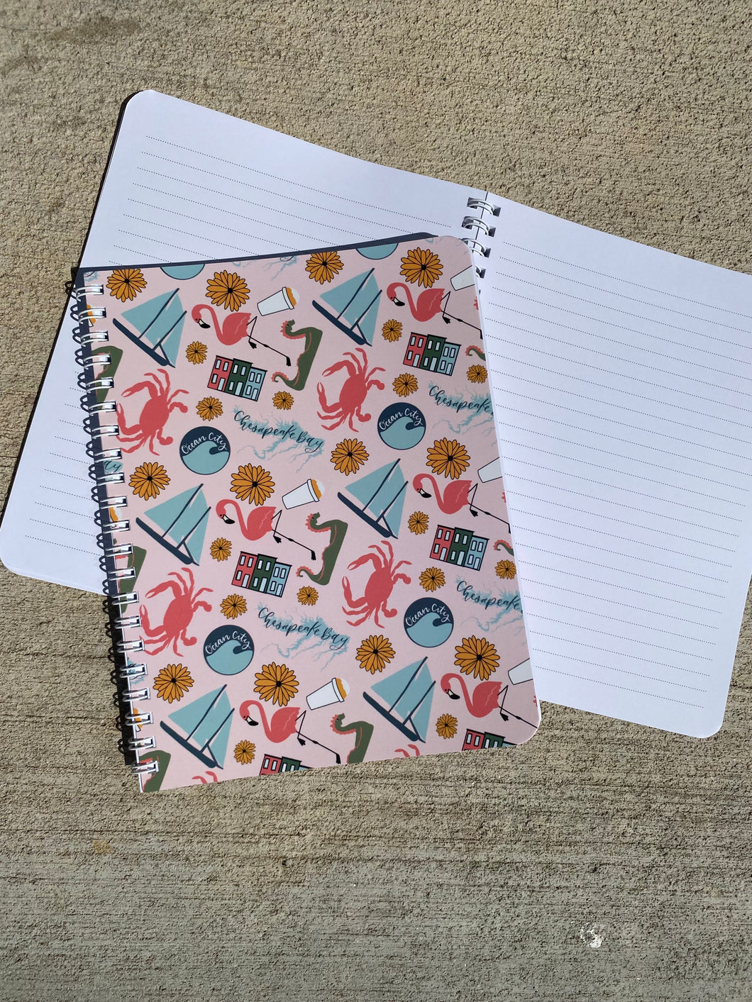 Pink Baltimore Small Notebook